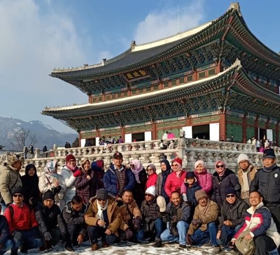 group tour korea